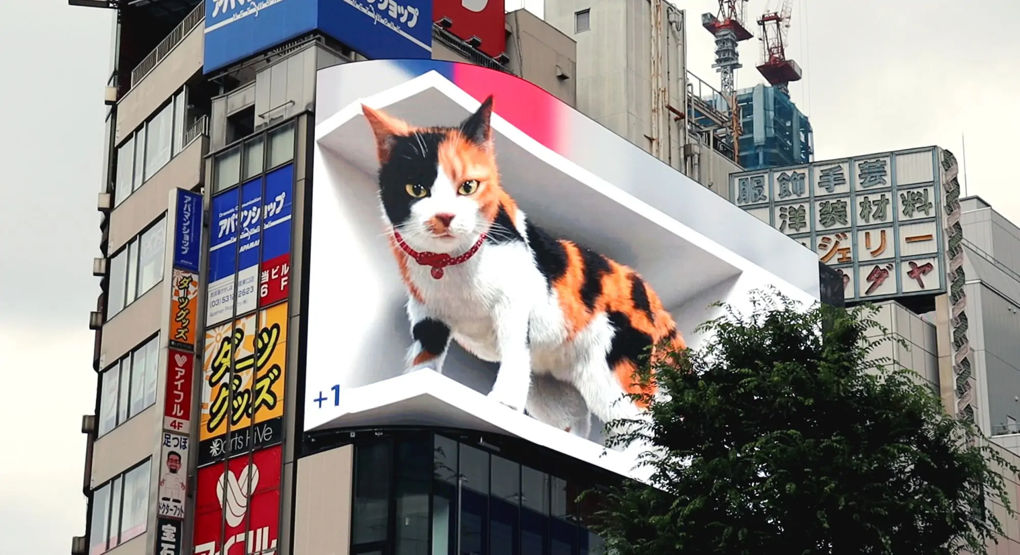 3d cat billboard in tokyo