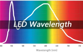 LED Wavelength
