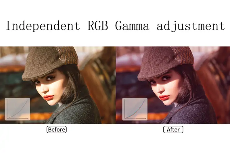 Independent Gamma Adjustment for RGB - EagerLED | Leading LED Screen Supplier - EagerLED | Leading LED Screen Supplier Independent Gamma Adjustment for RGB