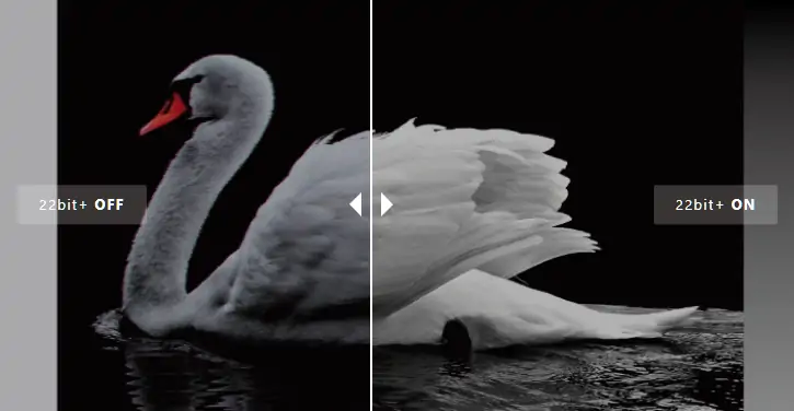22bit+ Grayscale Enhancement - EagerLED | Leading LED Screen Supplier - EagerLED | Leading LED Screen Supplier 22bit+ Grayscale Enhancement