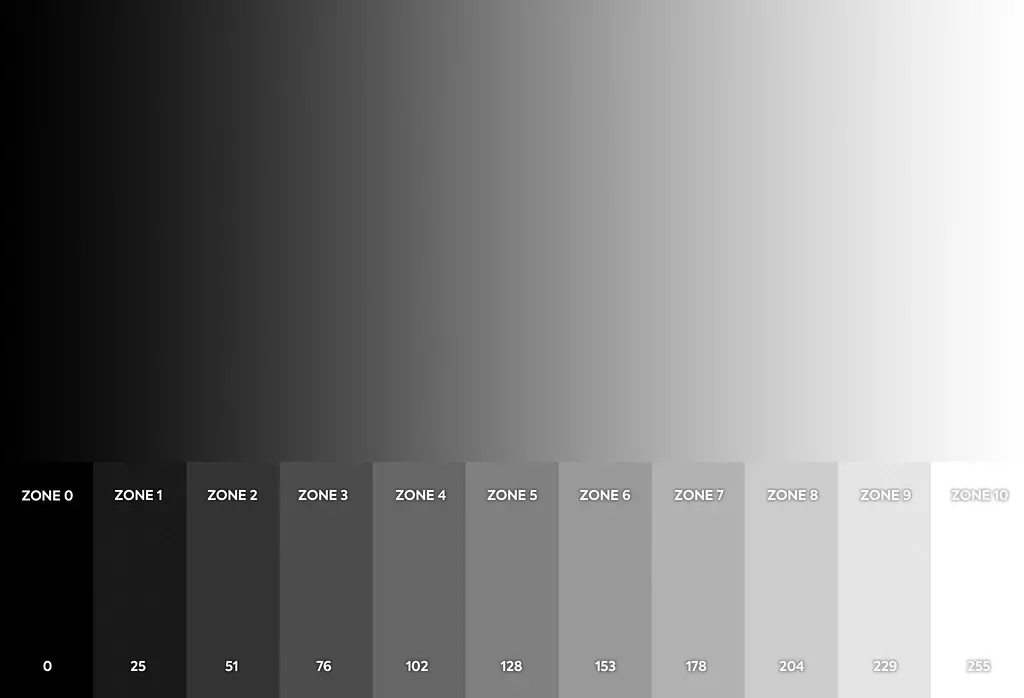 Grayscale Ramp