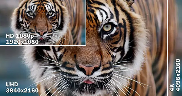 4K UHD for Image Details